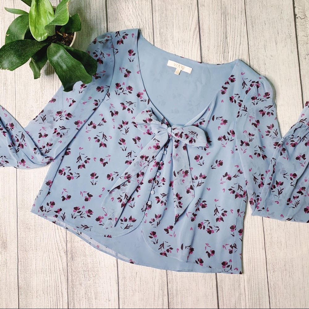 Periwinkle cottagecore crop bow blouse